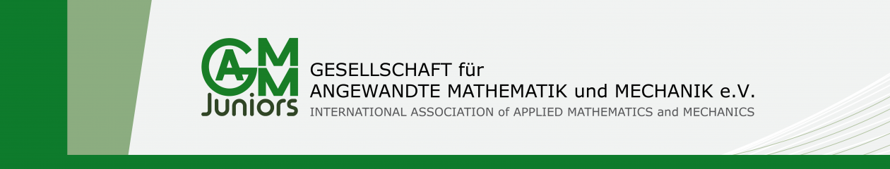 GAMM Juniors | The GAMM's council of young researchers